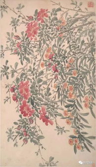 陈淳 花卉图精品册 大都会博物馆藏