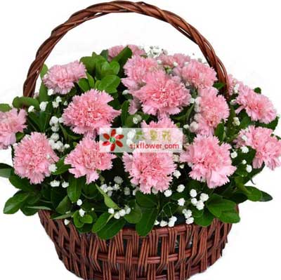 路桥区母亲节订花,台州路桥区花店,为您传递爱的温暖