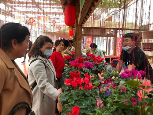 助农春耕 保农生产,宁城大城子百余名棚户走进和润农业参观学习