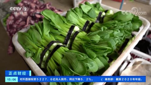 一餐蔬菜要花近30元 菜比肉贵 网友 穷得只能吃肉