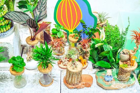 这里有个浪漫的花园生活节盛大开幕