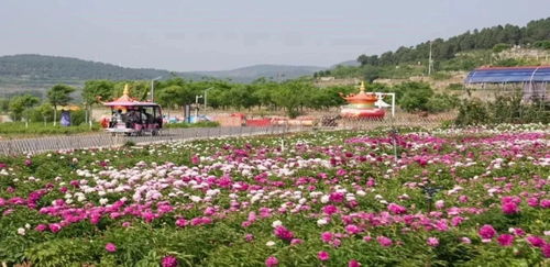 济南市特色林果花海旅游季暨公园景区花朝节开幕