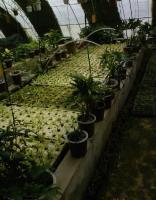 花卉营养液/植物营养液/水培营养液/肥料_农副产品_世界工厂网中国产品信息库
